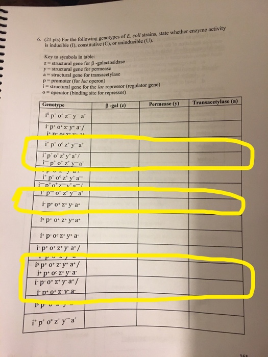 Solved The Lac Operon Only Need Help With The 5 Circled I Chegg Com