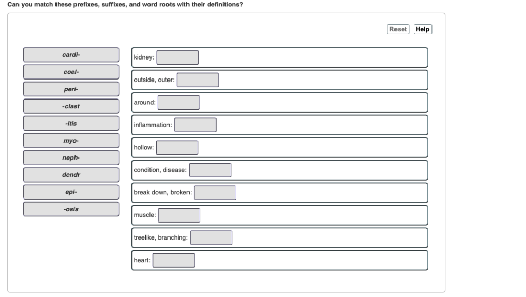 Match These Prefixes Suffixes And Roots To Their Meanings 44+ Pages Summary [3mb] - Updated 