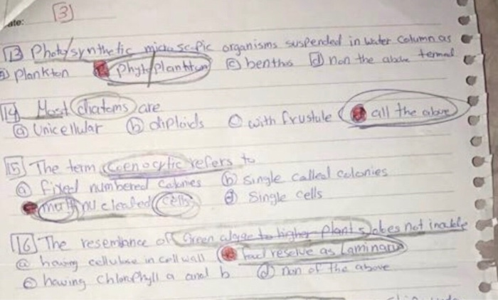 13 e ehetnetet半tad organisms suseendal in uder car nor Planktn Phyplant benths D non the aiad tema cle Single cells