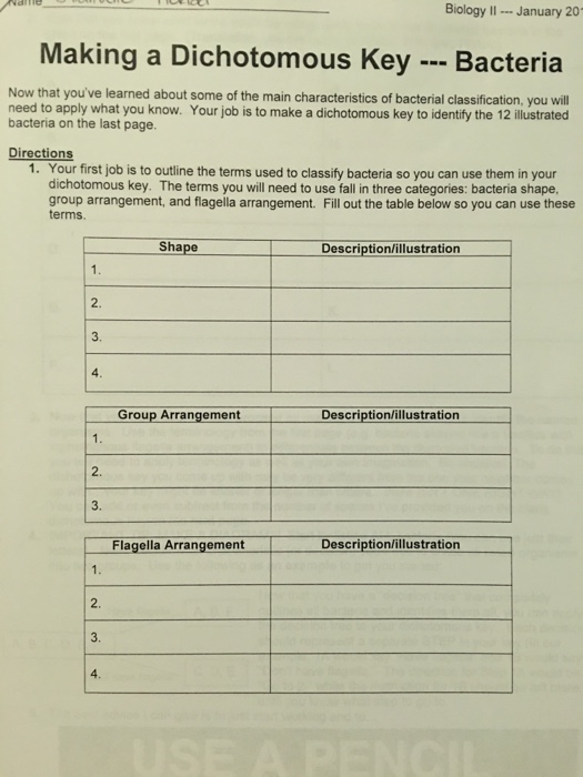 Biology Iijanuary 20 Making A Dichotomous Key Chegg Com