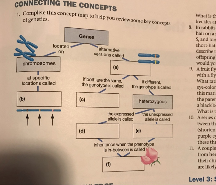 Solved Onnecting The Concepts Complete This Concept Map T