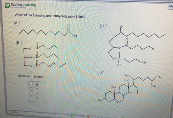 Solved: Ma Sapling Learning Which Of The Following Are Non... | Chegg.com