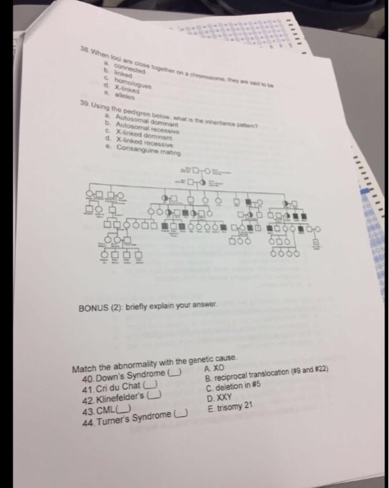 Solved On A 39 Using The Pedigree Below What Is The Date Chegg Com