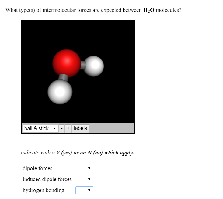 Ch2o Intermolecular Forces thomasinsmith