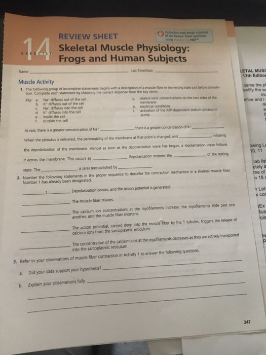 Review Sheet Skeletal Muscle Physiology Frogs And Chegg 