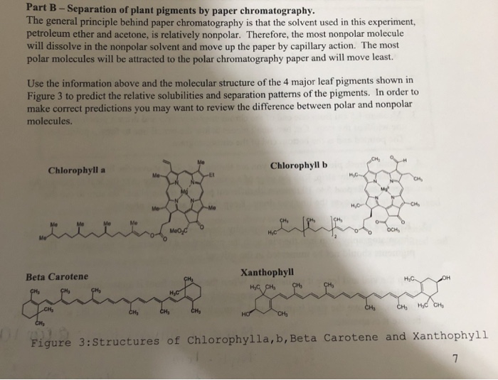 petroleum ether molecular structure