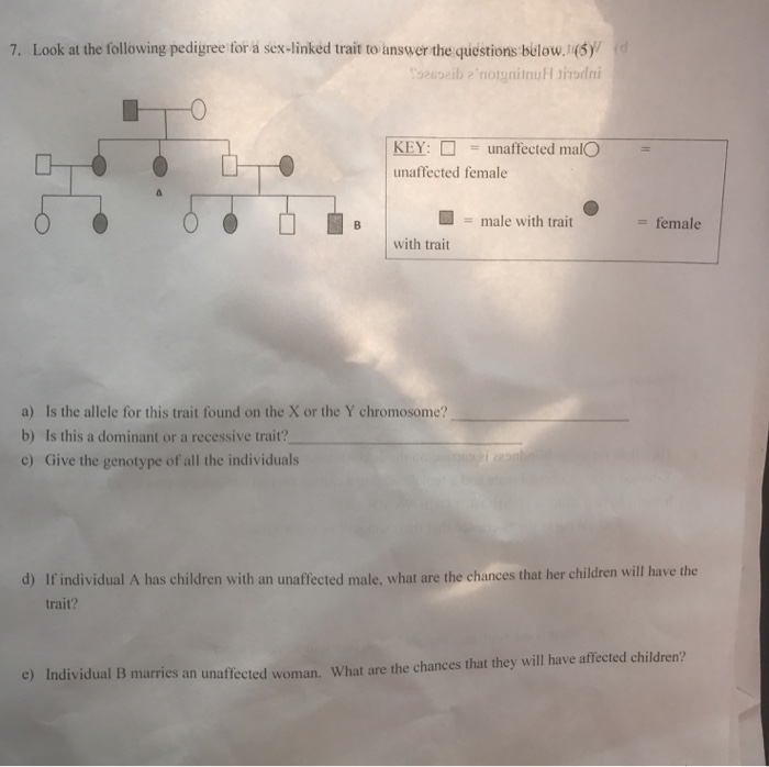 Solved Look At The Following Pedigree For A Sex Linked Tr Chegg Com