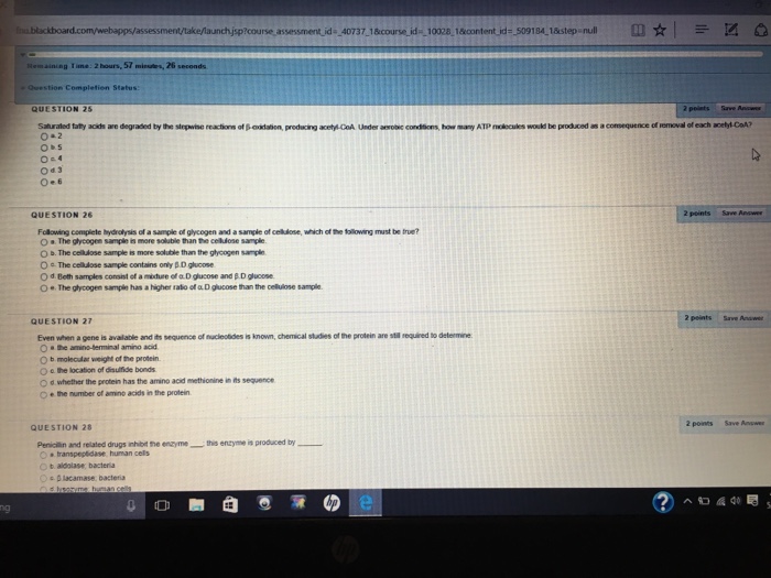 Essay 4324 08 picture