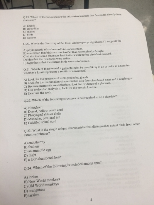 Solved: Q.19. Which Of The Following Are The Only Extant A... | Chegg.com