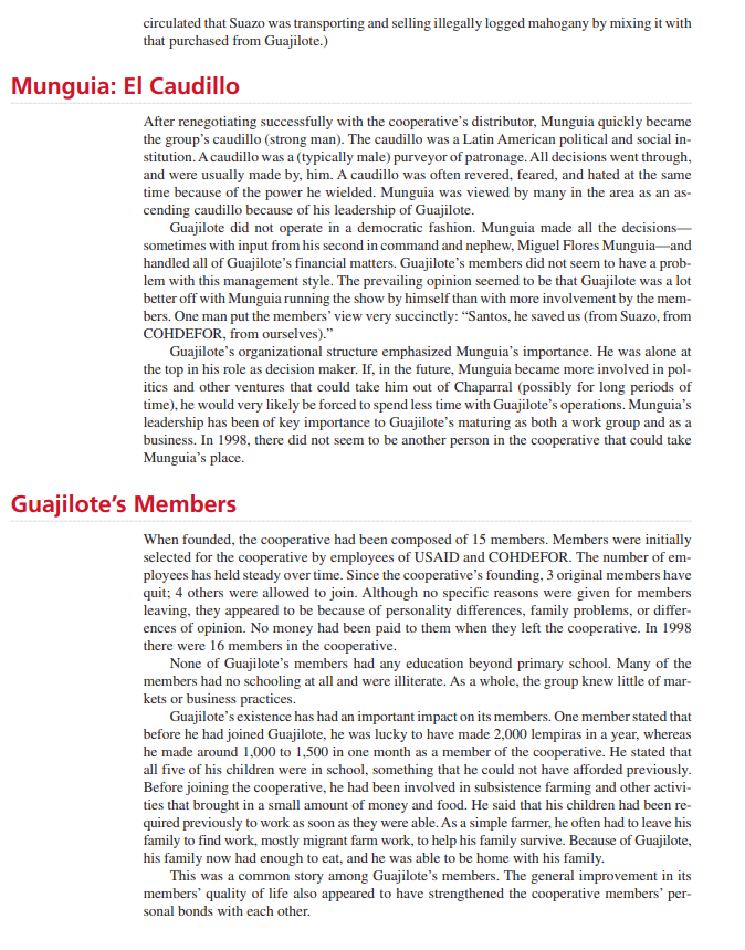 Guajilote case study 02 image