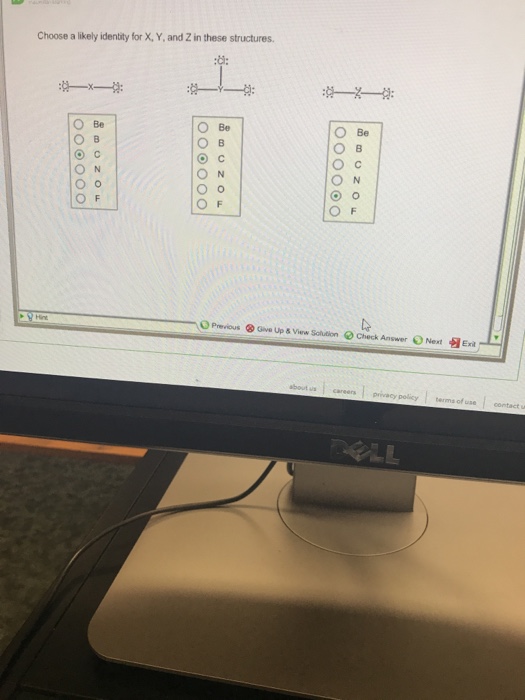 Choose a likely identity for X, Y, and Z in these