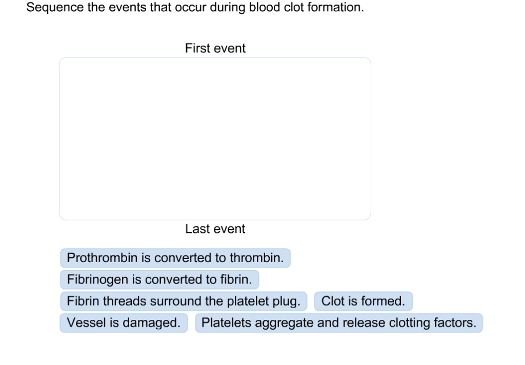 Solved Sequence The Events Tnat Occur During Blood Clot F Chegg Com