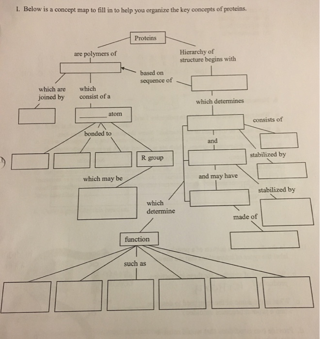 protein concept map