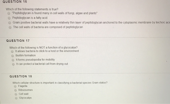 Solved Question 16 Which Of The Following Statements Is | Chegg.com