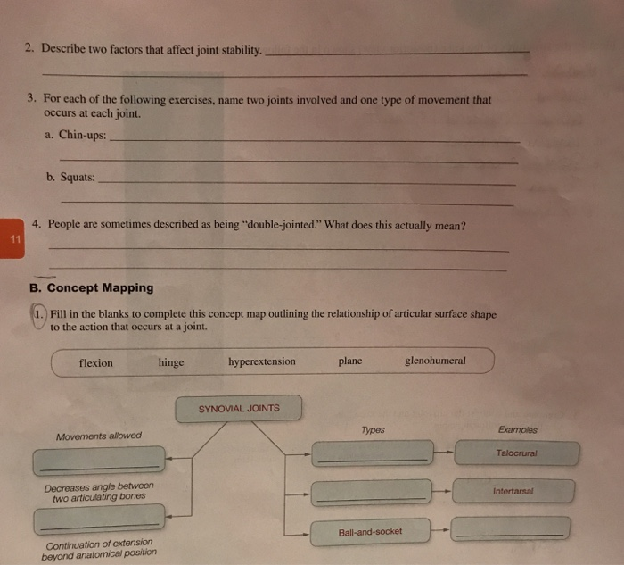 Describe Two Factors That Affect Joint Stability