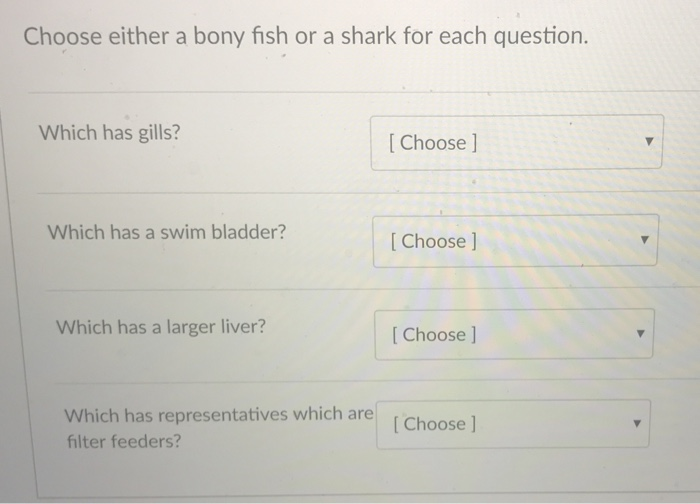 Solved Choose Either A Bony Fish Or A Shark For Each Ques