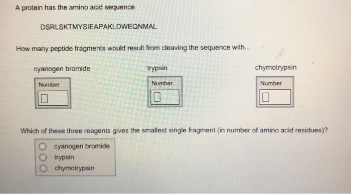 Solved A Protein Has The Amino Acid Sequence DSRLSKTMYSIE