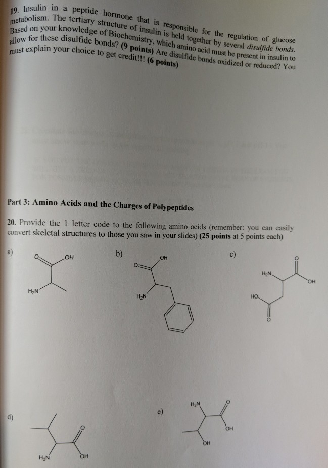 The For Is In Peptide Hormone R Solved: A ... Responsible That