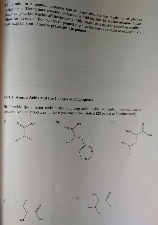 Is A Hormone The R Peptide That For Responsible Solved: In ...