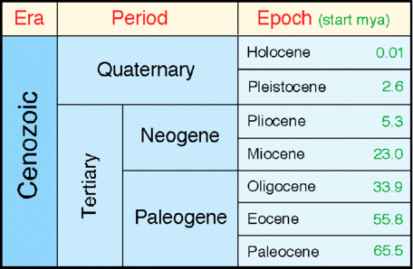 Time periods. Miocene Pliocene Holocene Pleistocene. Икпонвоза Эра. Какая сецсмс Эра. Recent era значение.