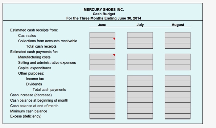 Mercury shoes simulation homework image