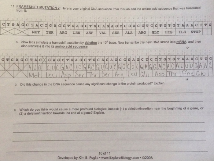 11 Erameshift Mutation 2 Here Is Your Original Dna Chegg 