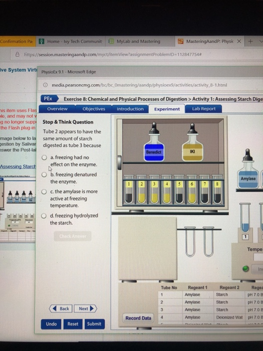 Physioex exercise 2 activity 1 picture