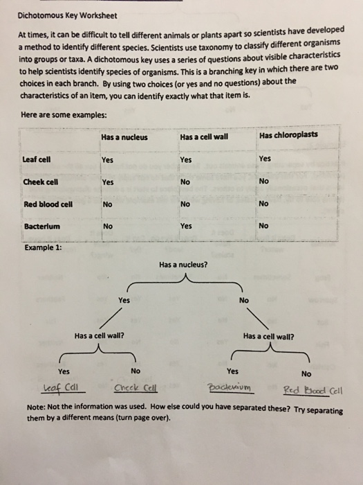 Solved: Dichotomous Key Worksheet At Times,it Can Be Diffi ...