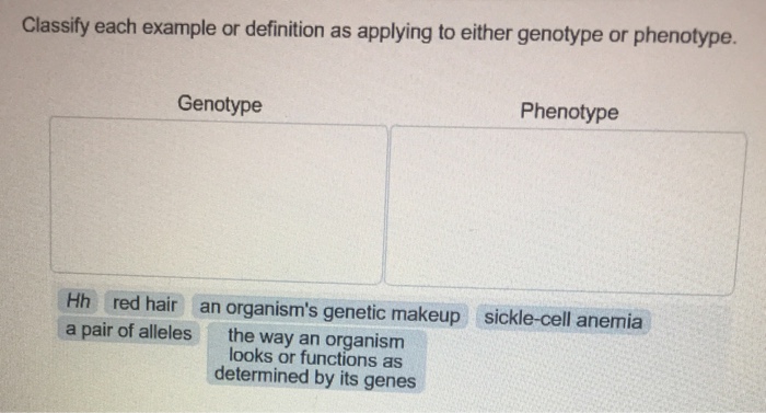 Solved Identify The Definition And Example For Each Term Chegg Com