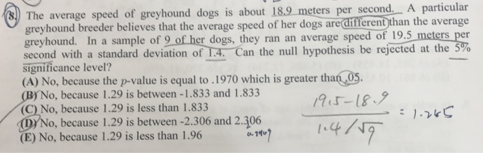average speed of a greyhound