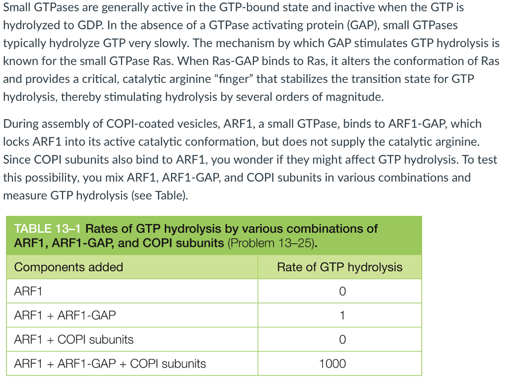 Small GTPases are generally active in the GTP-bound state and inactive when the GTPis hydrolyzed to GDP. In the absence of a GTPase activating protein (GAP), small GTPases typically hydrolyze GTP very slowly. The mechanism by which GAP stimulates GTP hydrolysis is known for the small GTPase Ras. When Ras-GAP binds to Ras, it alters the conformation of Ras and provides a critical, catalytic arginine finger that stabilizes the transition state for GTP hydrolysis, thereby stimulating hydrolysis by several orders of magnitude. During assembly of COPI-coated vesicles, ARF1, a small GTPase, binds to ARF1-GAP, which locks ARF1 into its active catalytic conformation, but does not supply the catalytic arginine. Since COPI subunits also bind to ARF1, you wonder if they might affect GTP hydrolysis. To test this possibility, you mix ARF1, ARF1-GAP, and COPI subunits in various combinations and measure GTP hydrolysis (see Table). TABLE 13-1 Rates of GTP hydrolysis by various combinations of ARF1, ARF1-GAP, and COPI subunits (Problem 13-25). Components added ARF1 ARF1 ARF1-GAP ARF1 +COPI subunits ARF1 ARF1-GAPCOPI subunits Rate of GTP hydrolysis 0 0 1000