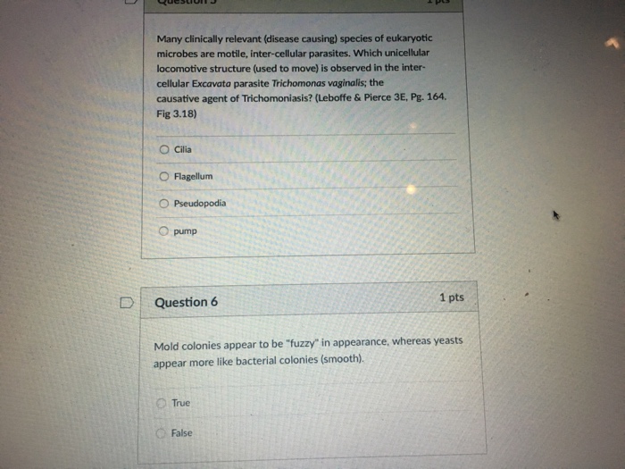 Valid D-PST-DY-23 Exam Format