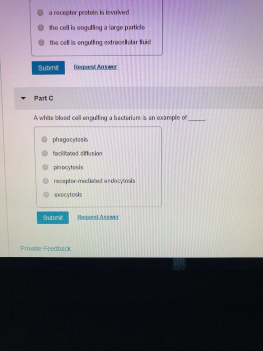 Solved Part A Endocytosis moves materials a cell via ○ out 