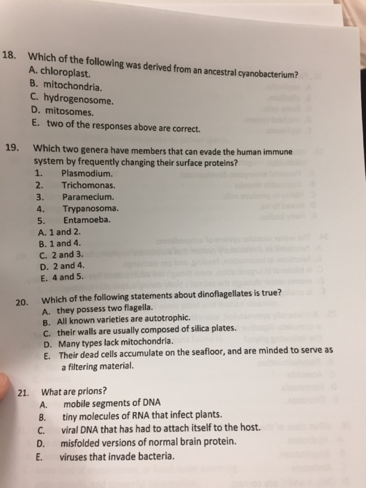 Solved Which Of The Following Was Derived From An Ancestral | Chegg.com