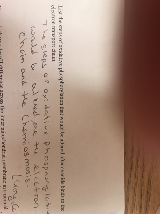 Tylenol murders case study picture