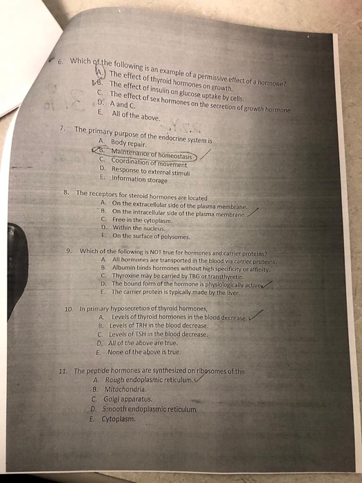 Solved Which Qf Th E Following Is An Example Of A Permissive Chegg Com