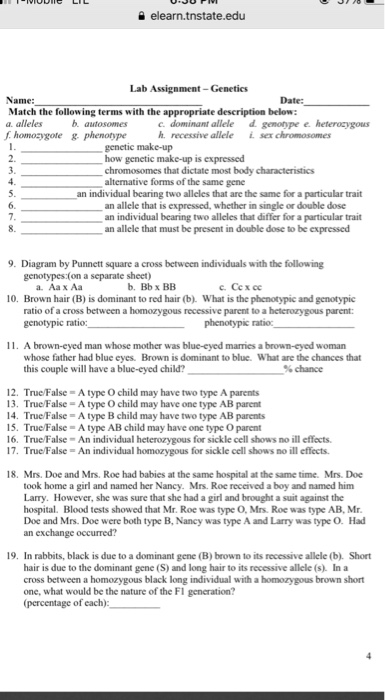 Solved A Elearn Tnstate Edu Lab Assignment Genetics Dat