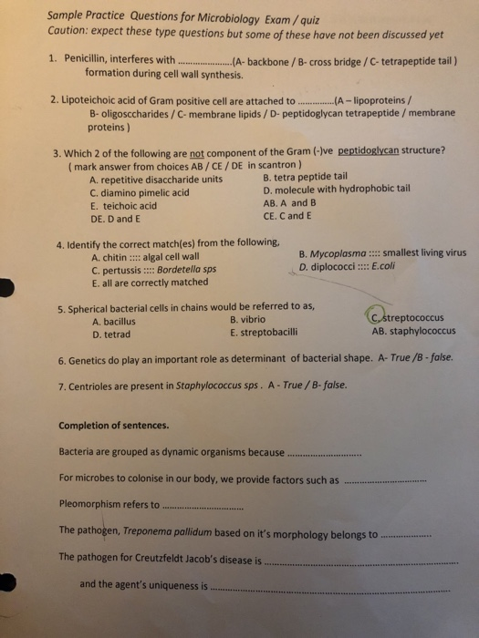 Solved: Sample Practice Questions For Microbiology Exam/qu Sns-Brigh10