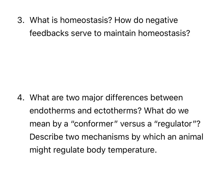 Homeostasis meaning