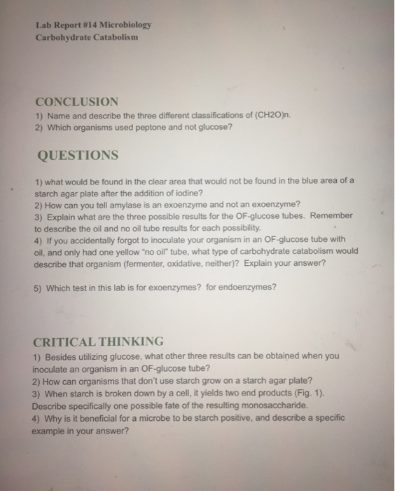 Which Organisms Used Peptone And Not Glucose 39+ Pages Answer [1.8mb] - Updated 2021 