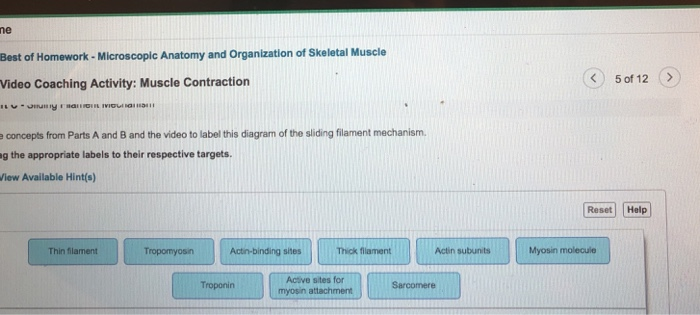 Understanding Pre-Lab Video Coaching Activities for Muscle Contraction: A Comprehensive Guide