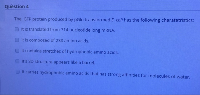 gfp hydrophobic amino acids