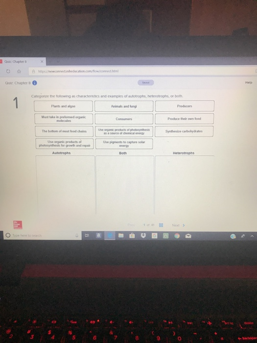 Solved Categorize The Following As Characteristics And Ex...