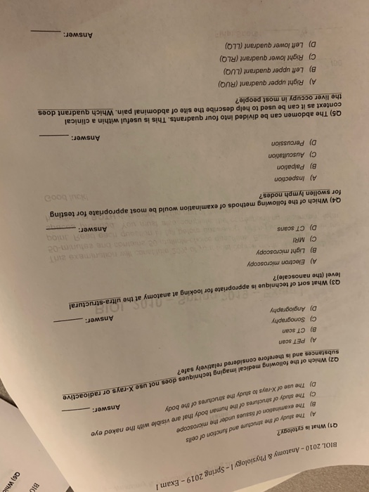 Solved Ol 2010 Anatomy Physiology I Spring 2019 Exam I - 