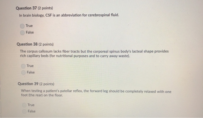 Solved Question 37 2 Points In Brain Biology Csf Is An