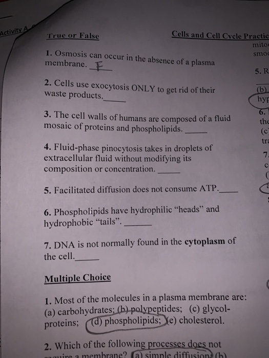 Solved A Cells And Cell Cyele Practic Mito Smo Activity True Chegg Com