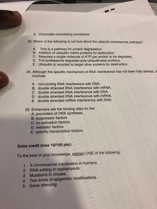 Solved Multiple Choice Questions 1 Chargaff S Rules For Dna Chegg Com