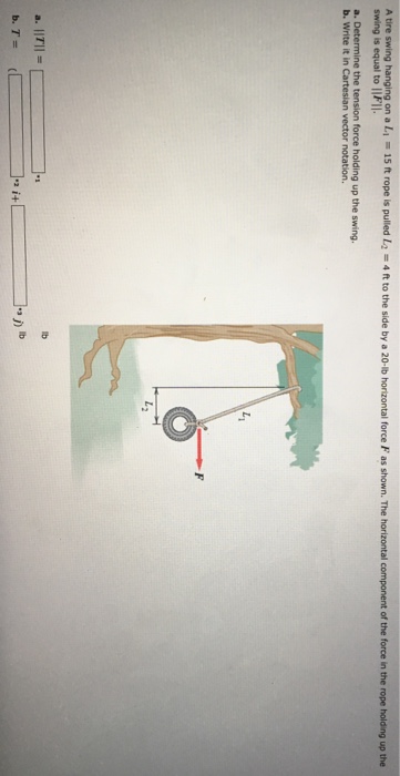 Solved A Tire Swing Hanging On A L 1 15 Ft Rope Is Pull