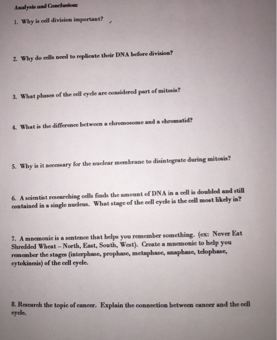 Solved Why Is Cell Division Important Why Do Cells Need To Chegg Com