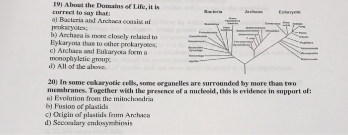 Solved 19) About The Domains Of Life, It Is Correct To Say | Chegg.com